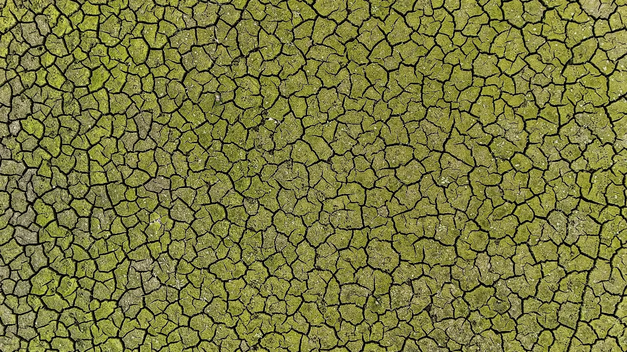 İstanbul alarmda! Kuraklığın izleri havadan görüntülendi