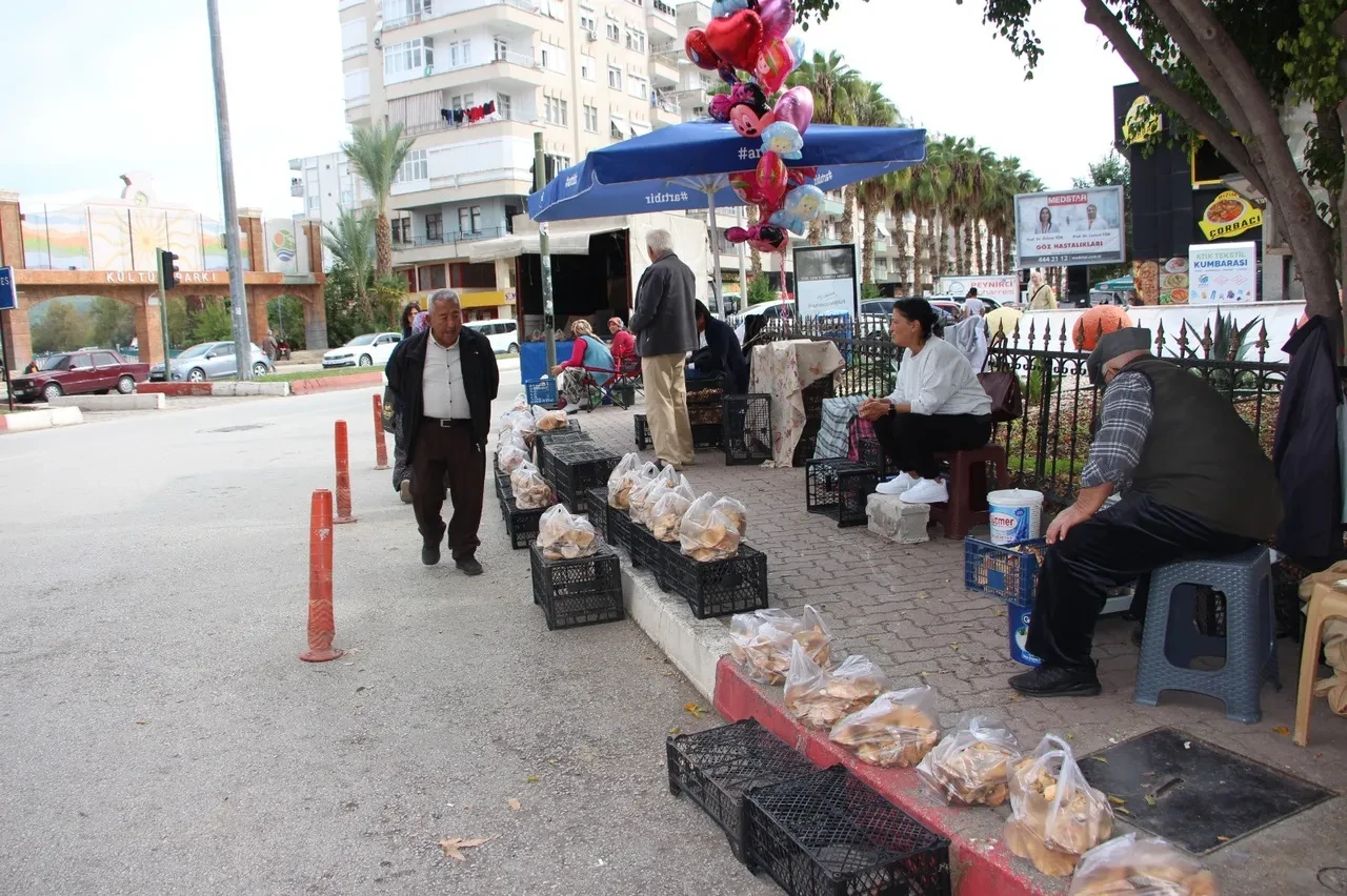 Sadece 1 ay boyunca ağaçların diplerinden toplanıyor! Kilosu 500 liraya kadar çıkıyor