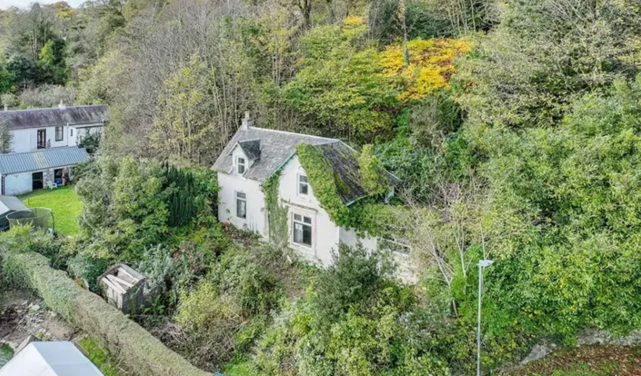 Sıradan bir ev gibi gözüküyor ve emlakçılar duvardaki ürkütücü mesajdan hiç bahsetmiyor! 