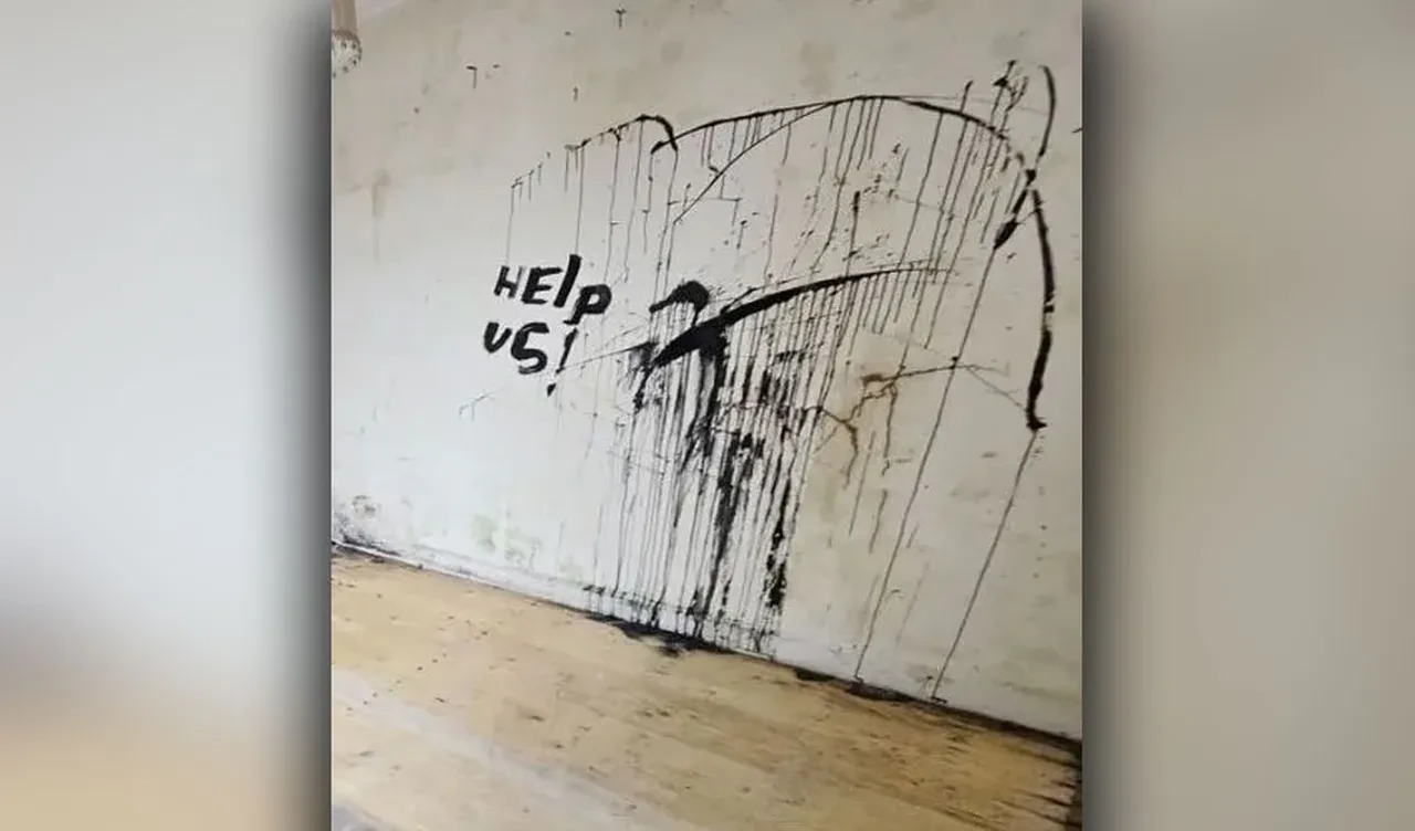 Sıradan bir ev gibi gözüküyor ve emlakçılar duvardaki ürkütücü mesajdan hiç bahsetmiyor! 