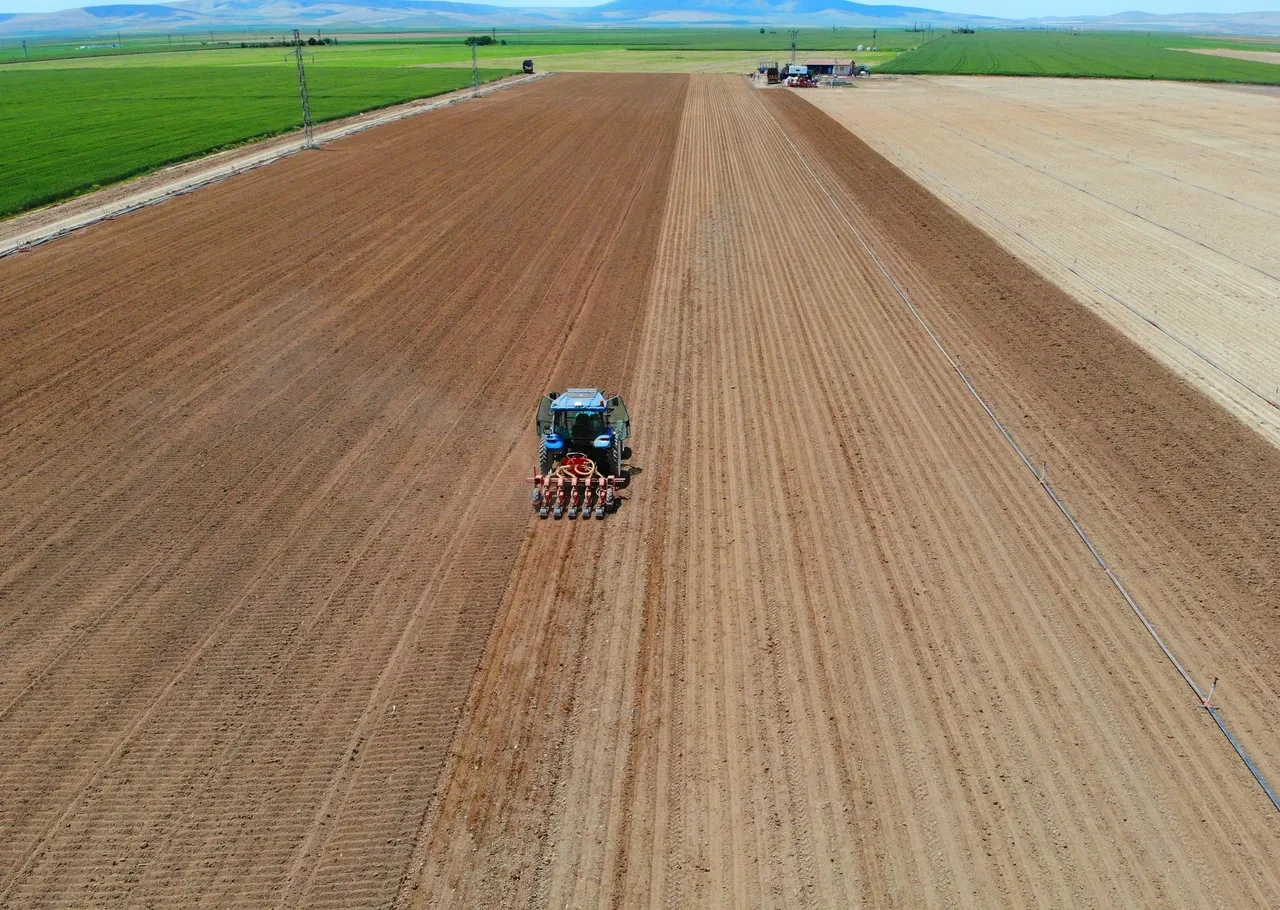 IGC kritik veriyi açıkladı: Tahıl üretiminde son 10 yılın rekoru