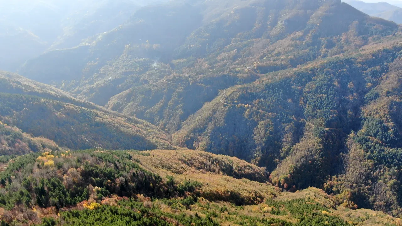 Kastamonu'da anne ve oğlunun cansız bedenleri böyle bulunmuş! 'Takip ettik, cesedin üzerinde gördük'