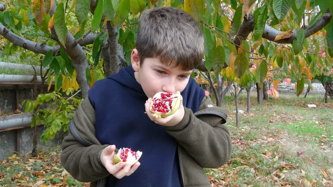Kendini misafirlerine adamış bir dede! 'Hayır Bahçesi'nde' yetiştirdiği meyve ve sebzeleri ücretsiz ikram ediyor