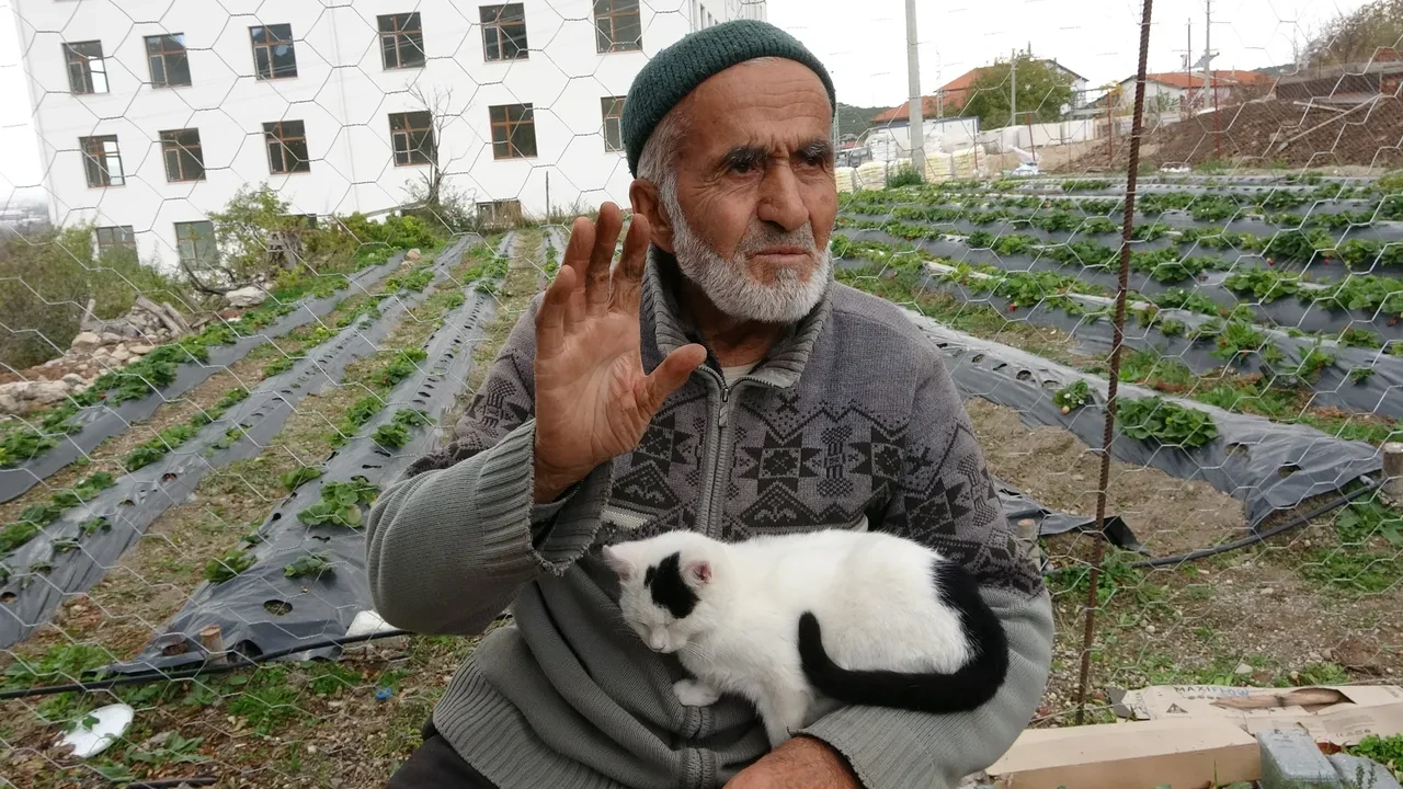 Kendini misafirlerine adamış bir dede! 'Hayır Bahçesi'nde' yetiştirdiği meyve ve sebzeleri ücretsiz ikram ediyor