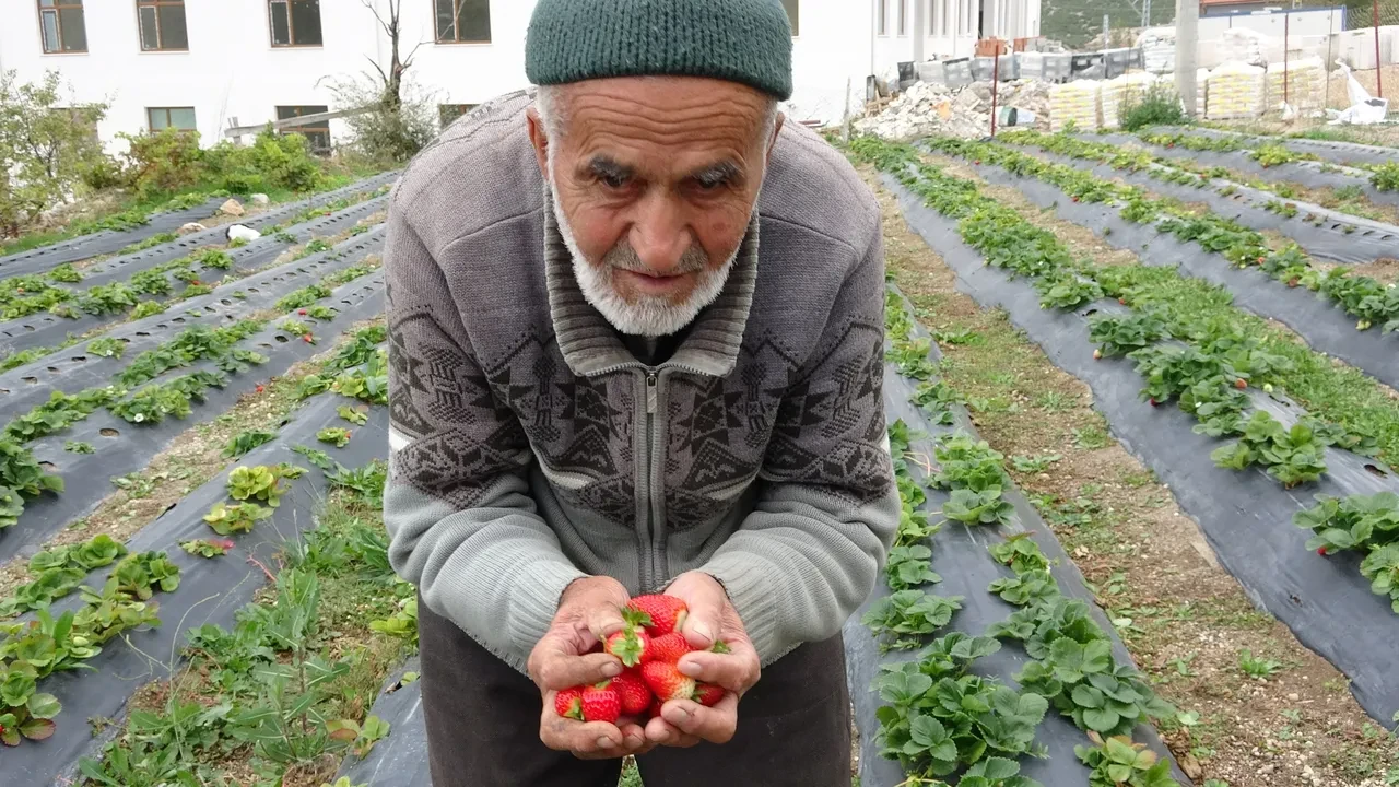 Kendini misafirlerine adamış bir dede! 'Hayır Bahçesi'nde' yetiştirdiği meyve ve sebzeleri ücretsiz ikram ediyor
