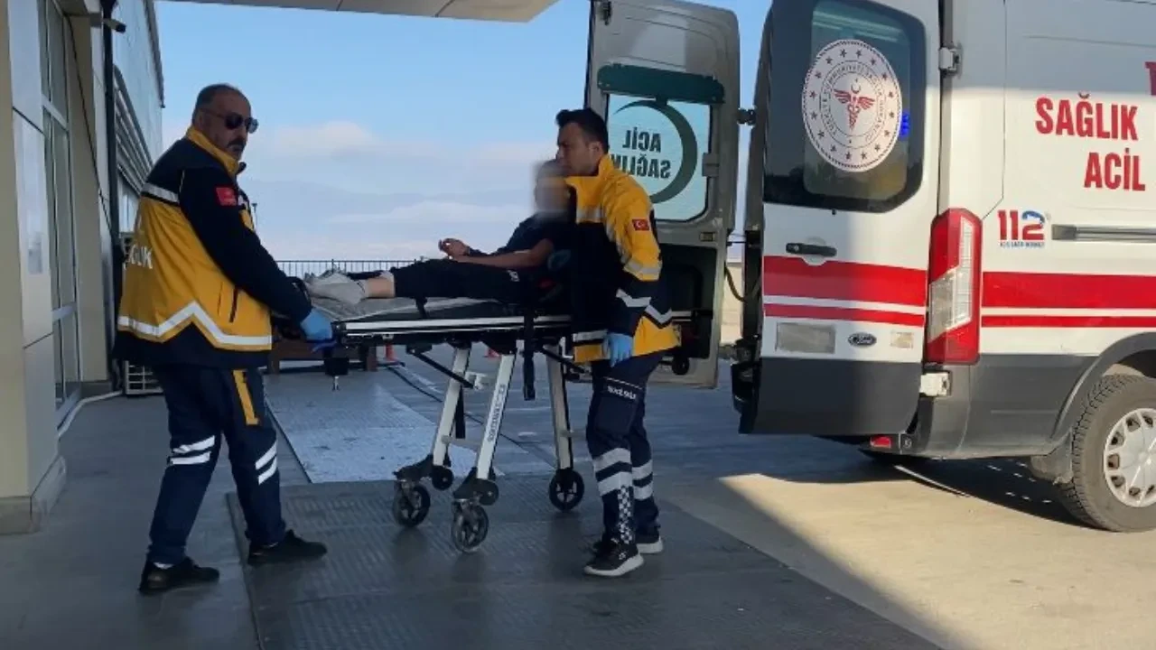 Sokak köpekleri küçük kıza dehşeti yaşattı! 'Durmadan ağlıyor' 