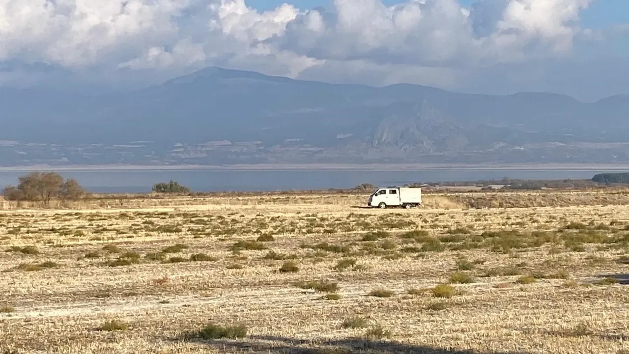 Sokak köpekleri küçük kıza dehşeti yaşattı! 'Durmadan ağlıyor'