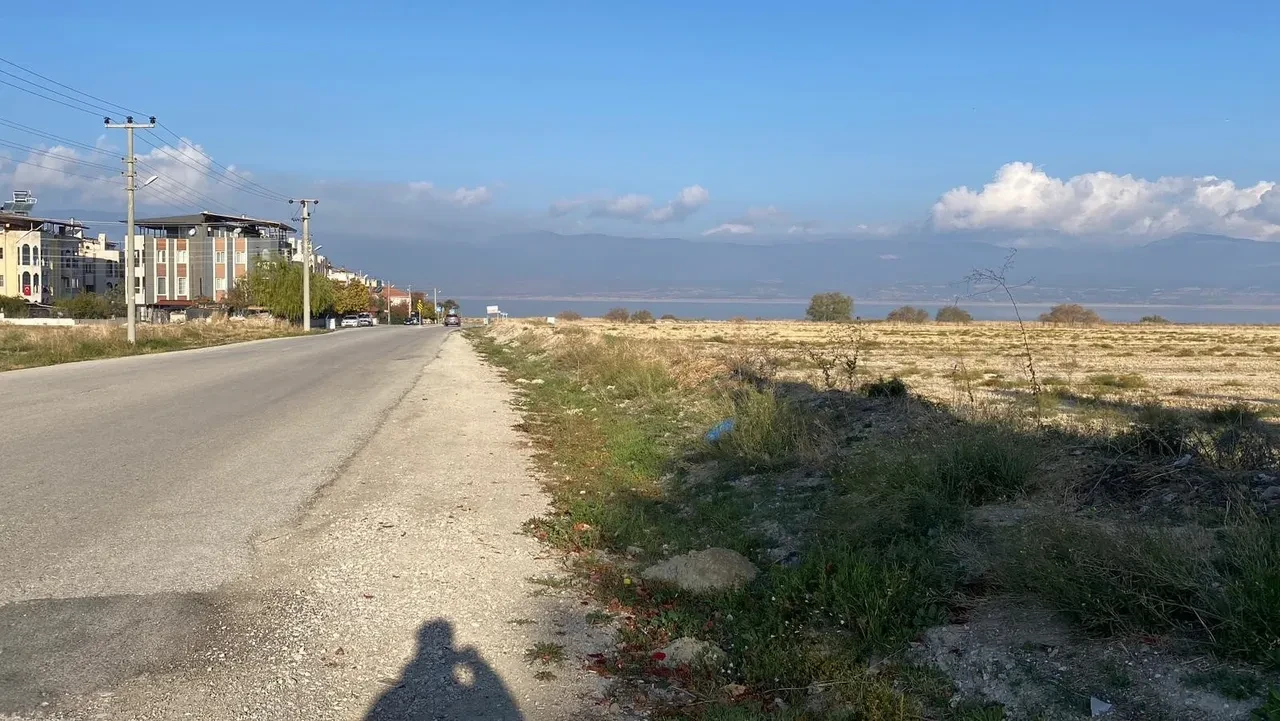 Sokak köpekleri küçük kıza dehşeti yaşattı! 'Durmadan ağlıyor'