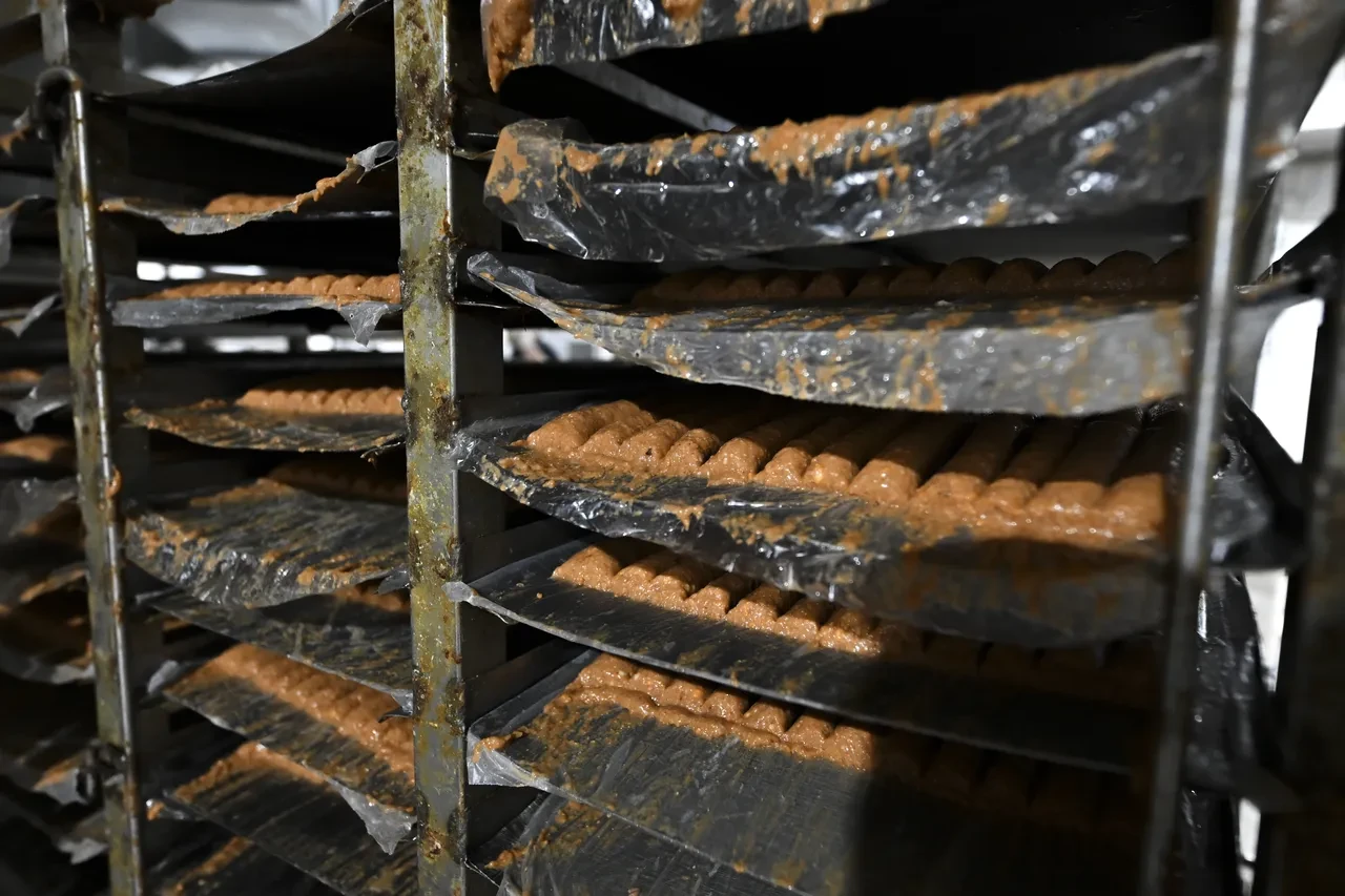 Vatandaşa bunları yedirmişler! Tonlarca bozuk et ele geçirildi!