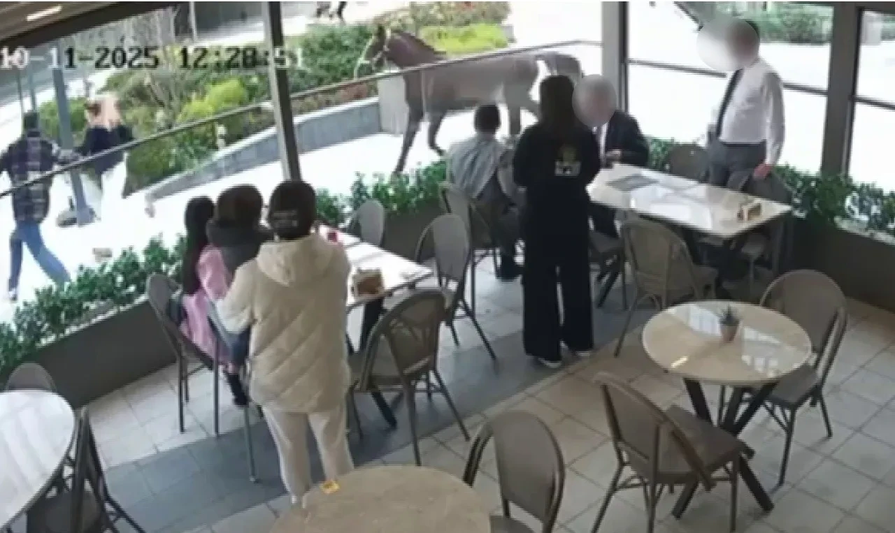 Ümraniye'de başıboş at paniği! Vatandaşları dakikalarca kovaladı