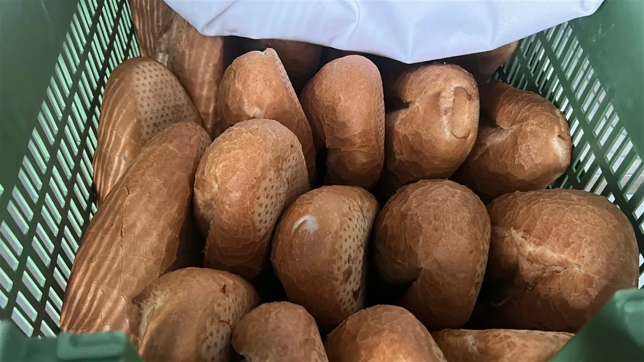 15 TL’lik ekmek burada 7 TL: Gören akın etti! Metrelerce kuyruk oluştu