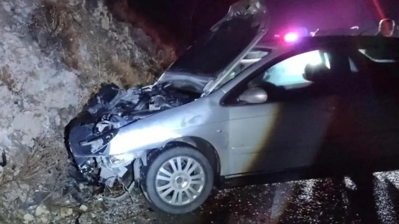 Arabasıyla ayıya çarptı! Yolcu yaralandı, ayı öldü