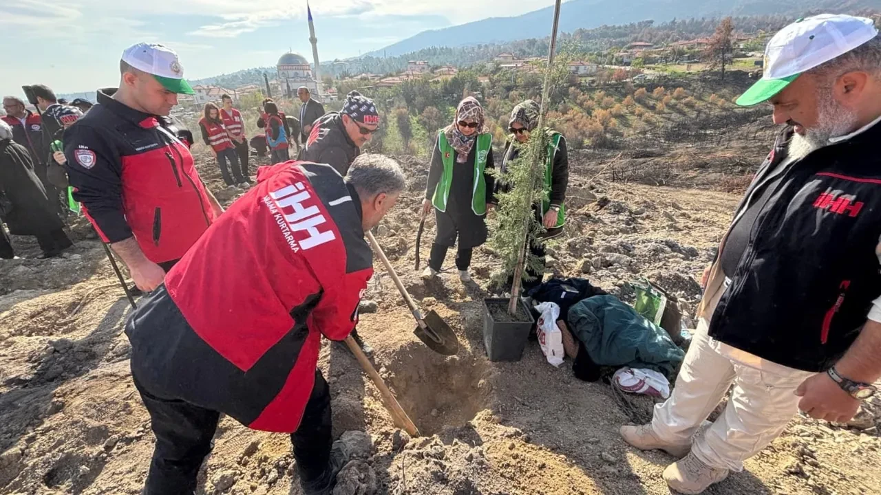 Milli Ağaçlandırma Günü'nde İHH’dan çiftçilere fidan desteği