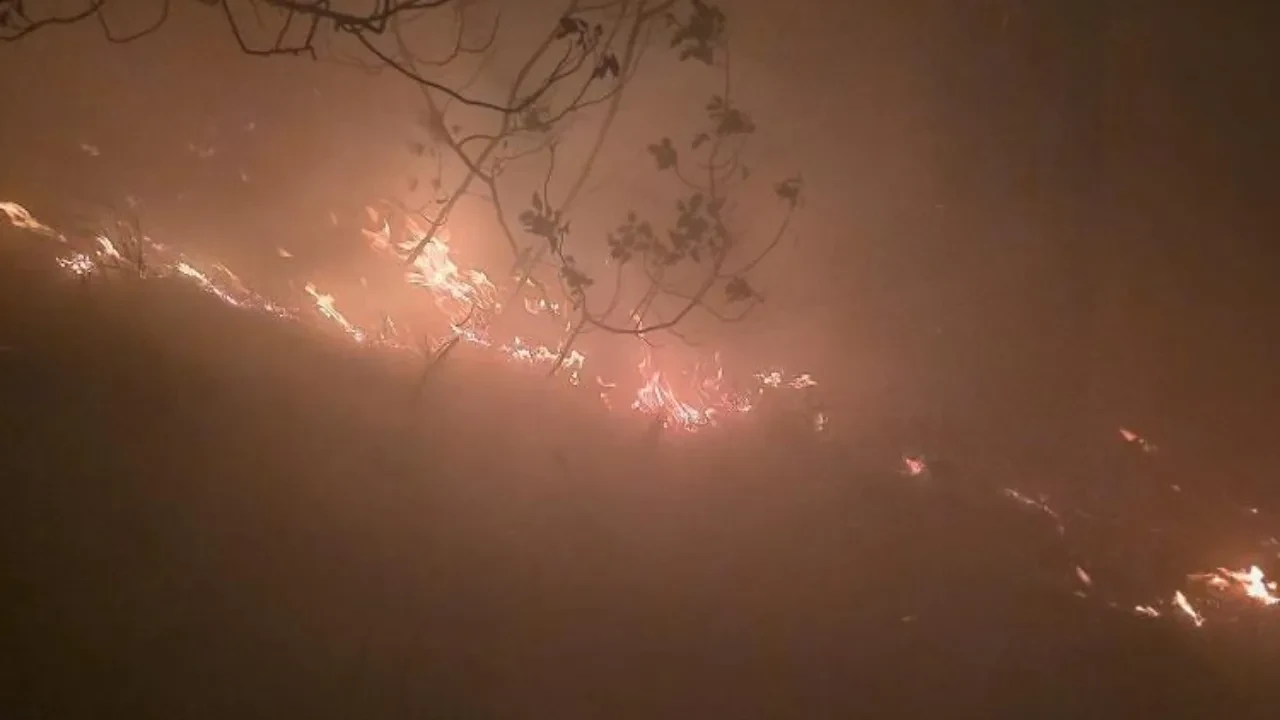 Ormana yıldırım düştü: Hatay'da yangın paniği!