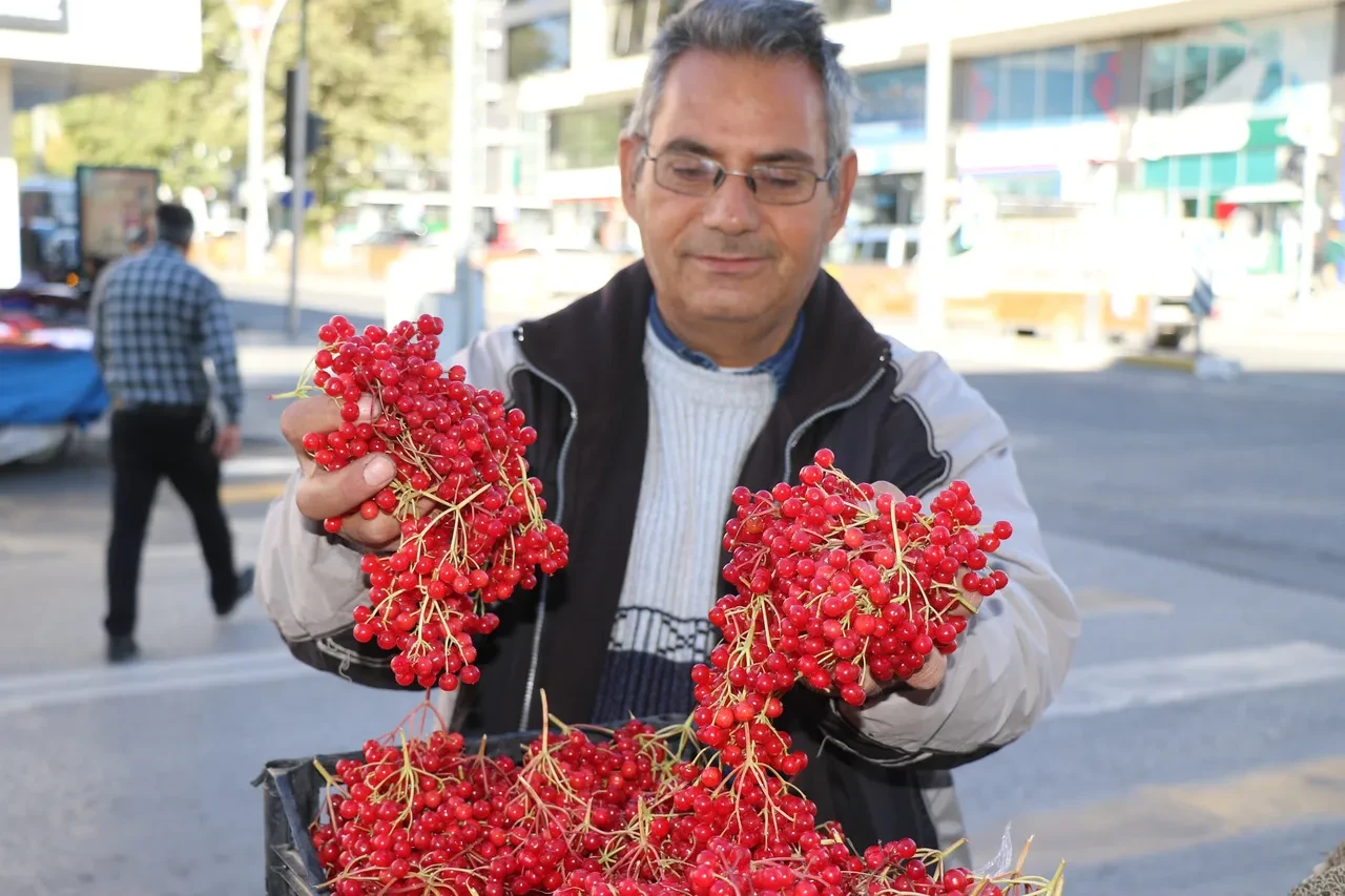 Şifa deposu meyve tezgahlardaki yerini aldı! Faydaları saymakla bitmiyor