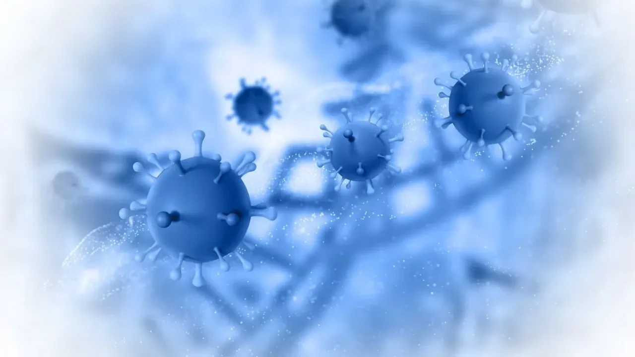 Yeni virüs H3N2 ortaya çıktığından beri hızla yayılıyor! Uzmanlar endişeli: Bunlar iyiye işaret değil!