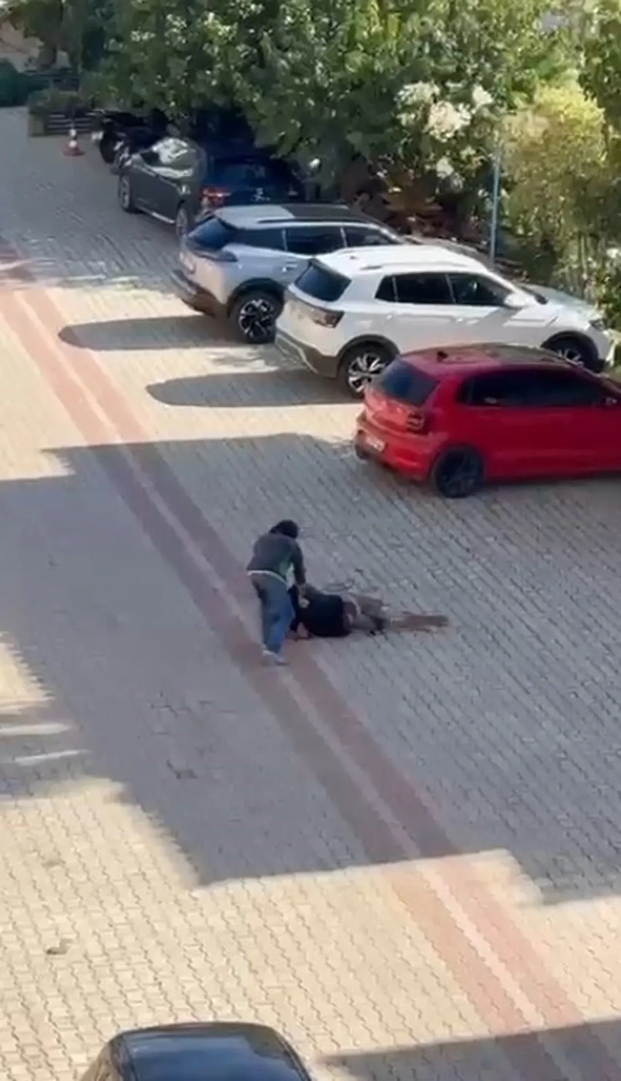 Annesiyle 'gönül ilişkisi' iddiasıyla yaşlı adamı katletti