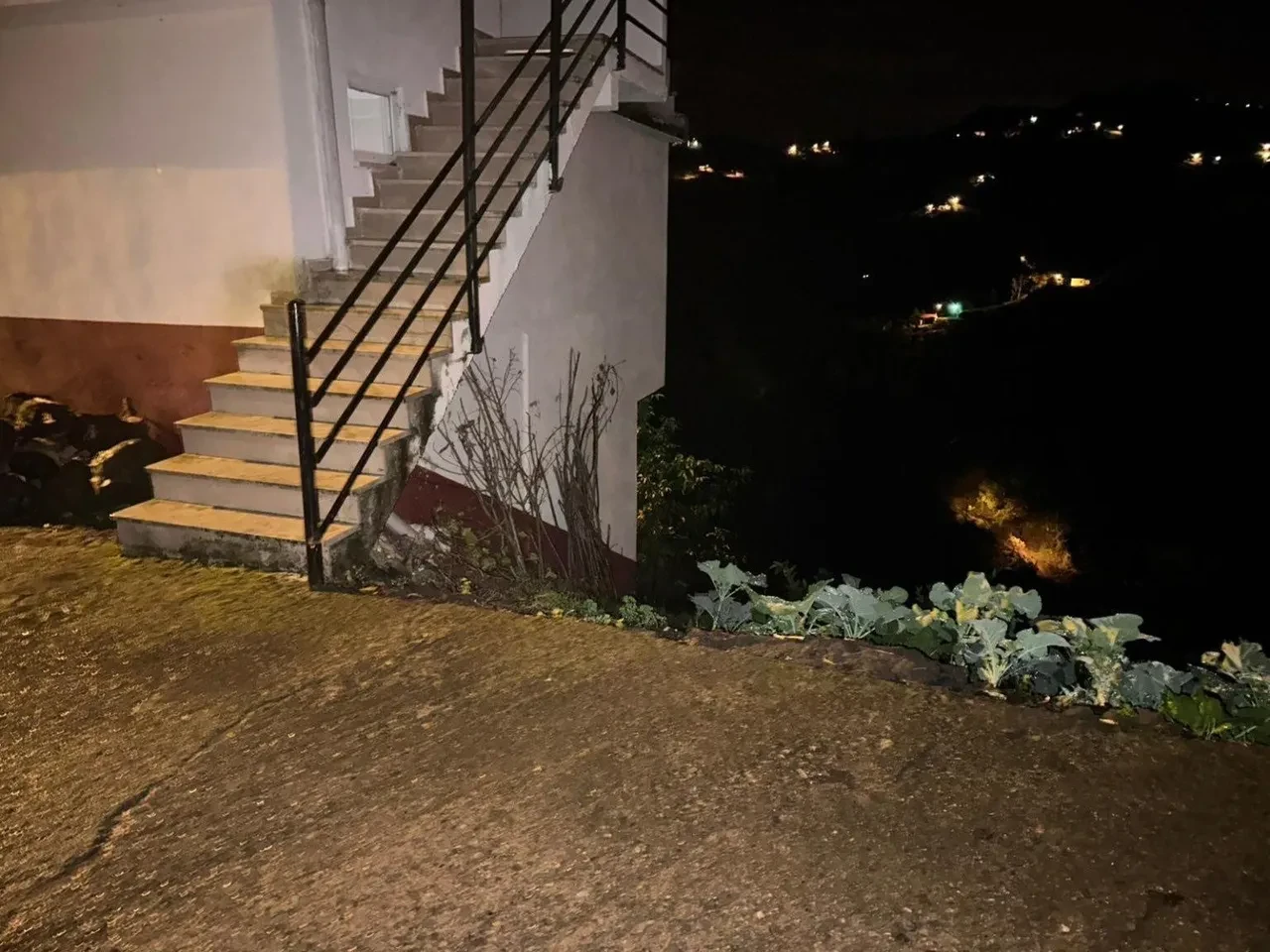 Camı kırıp eve girdi, yaşlı kadının ağzını bantlayıp dehşeti yaşattı! 