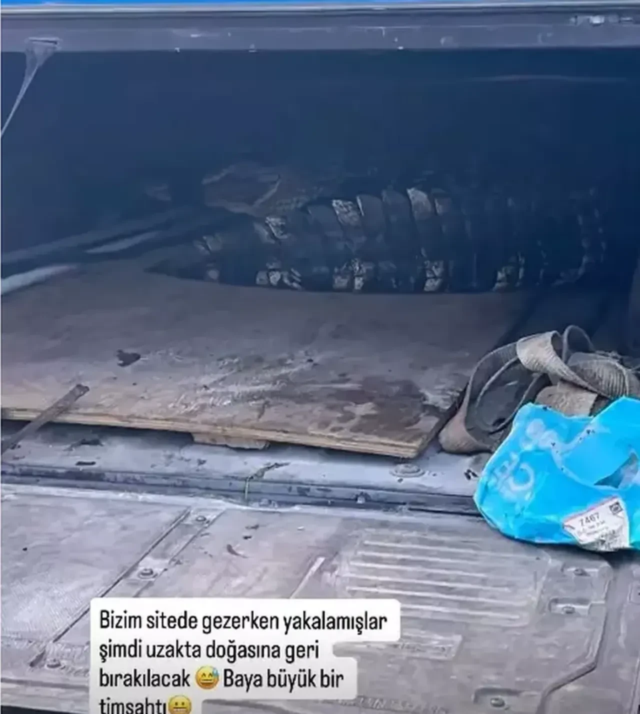 Ceyda Ateş zor günler geçiriyor! "Ağrı çekilmez halde"