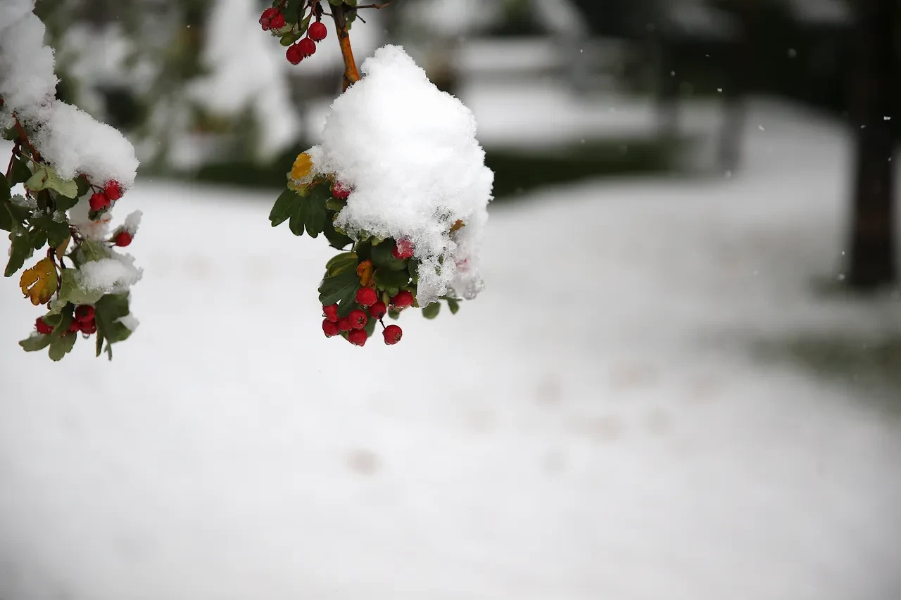Meteoroloji'den 2 il için kuvvetli kar yağışı uyarısı! Her yer beyaza bürünecek