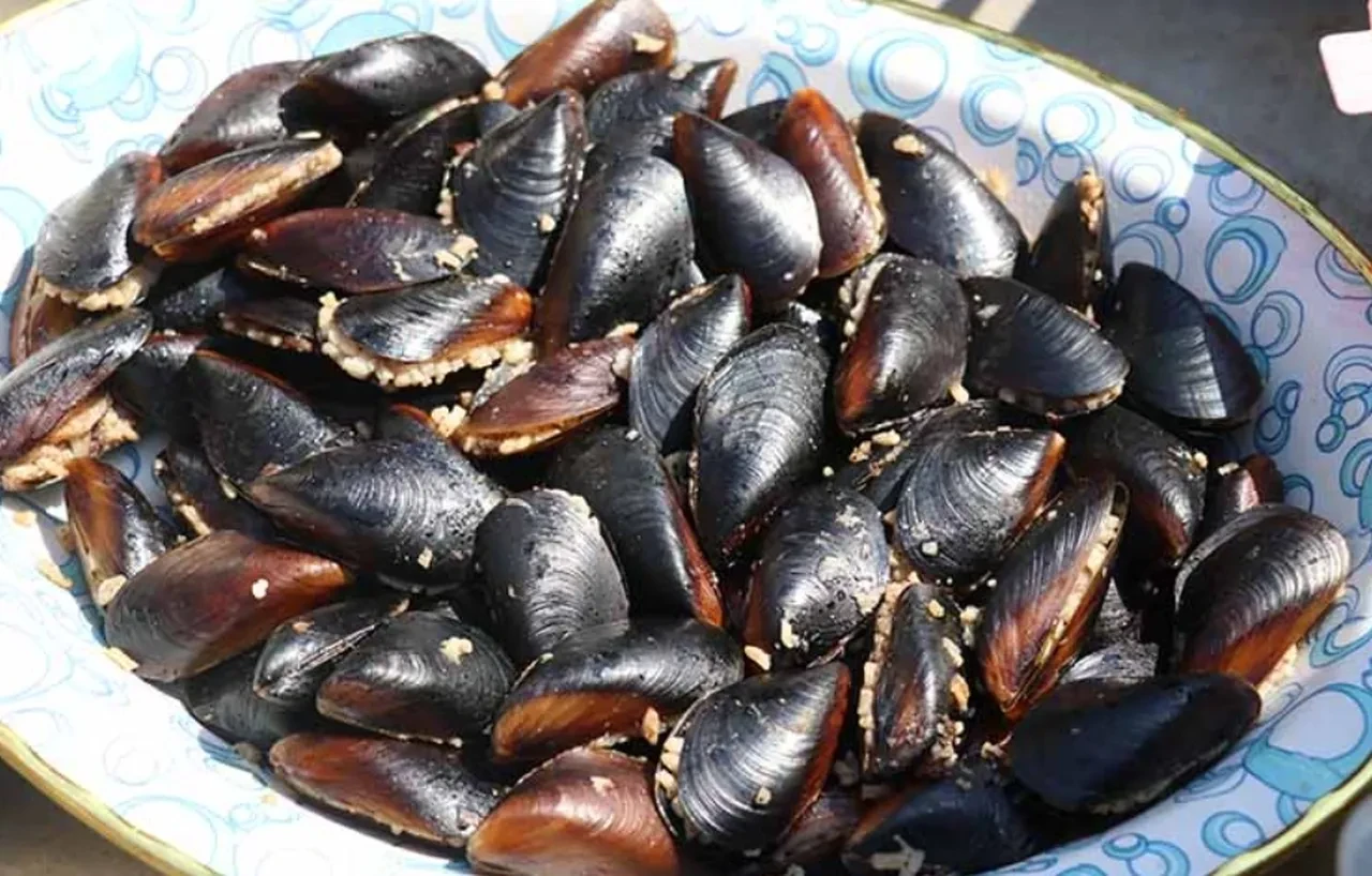 Midye kumpir zehirlenmesi midyeci?