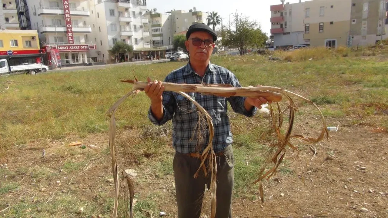 Şaşkına çeviren yetenek! Hisleriyle su bulan adam çiftçilerin kurtarıcısı oldu