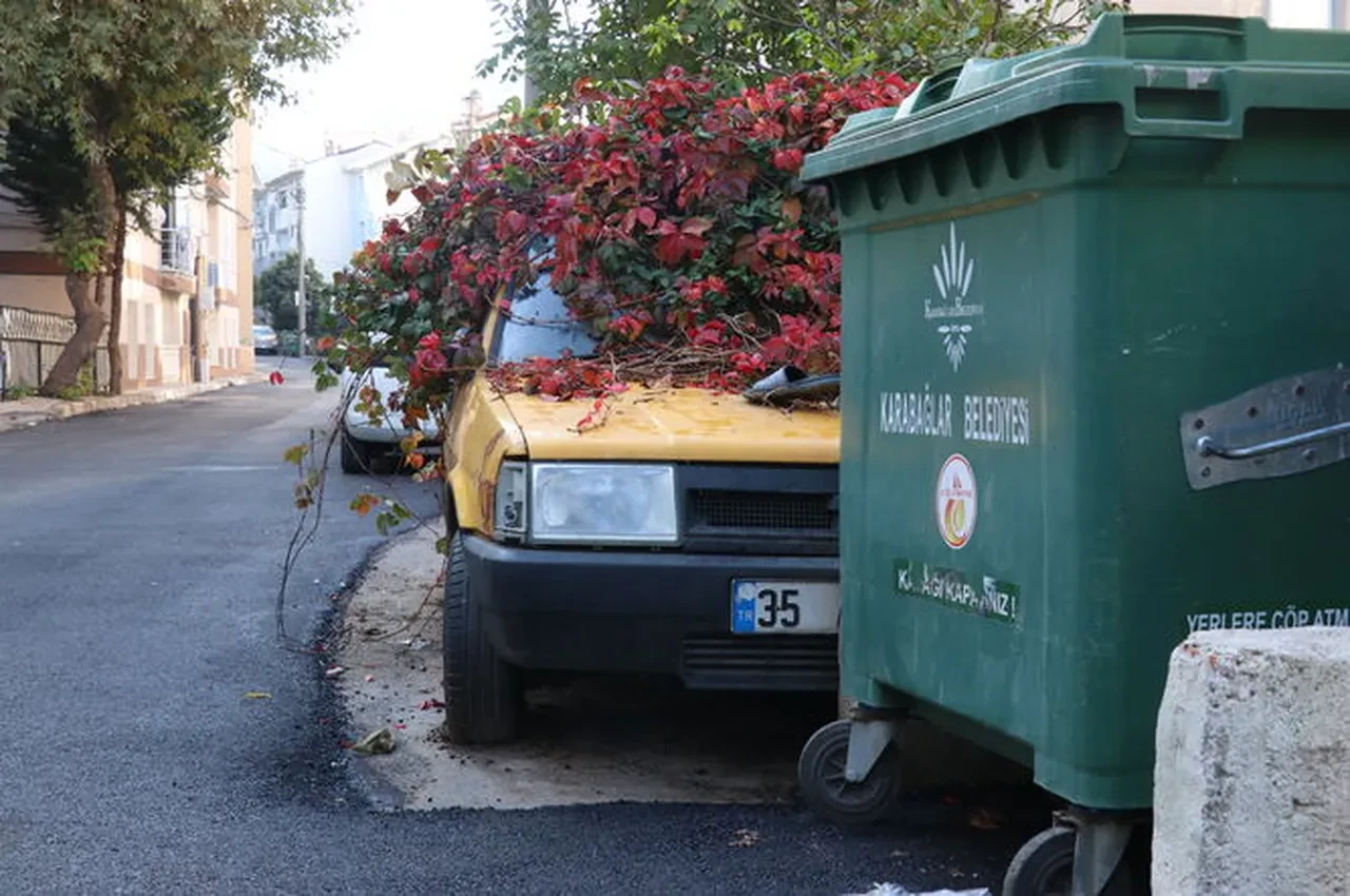 Yıllarca sahipsiz kaldı, sarmaşıklar sardı! Gizemli otomobil için harekete geçildi