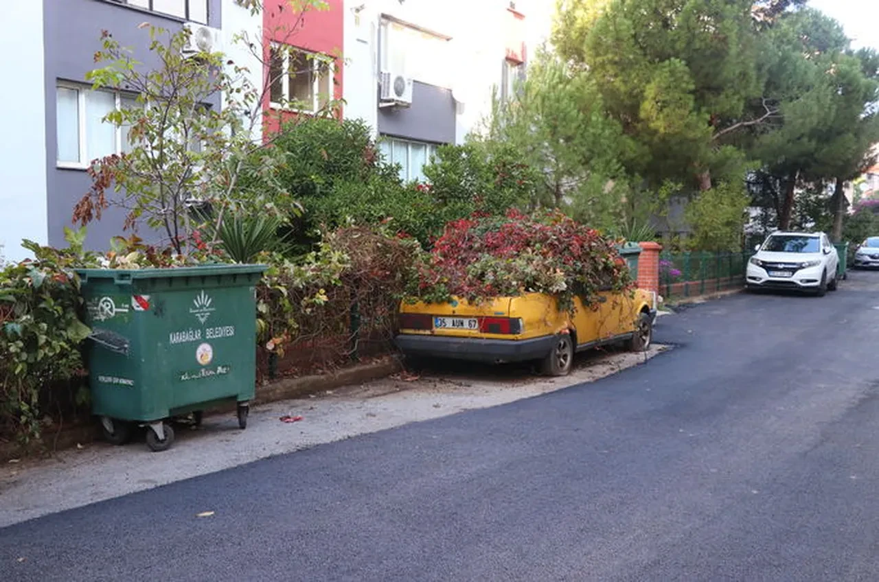 Yıllarca sahipsiz kaldı, sarmaşıklar sardı! Gizemli otomobil için harekete geçildi