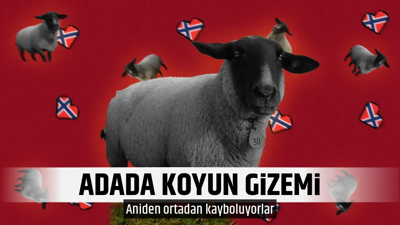ADADA KOYUN GİZEMİ