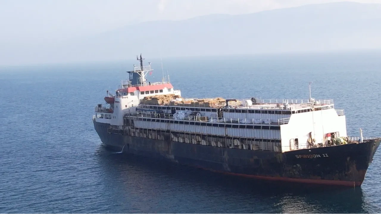 Cesetlerden sızan sıvılar yayılıyor! Bandırma açıklarında 24 gün süren kabus