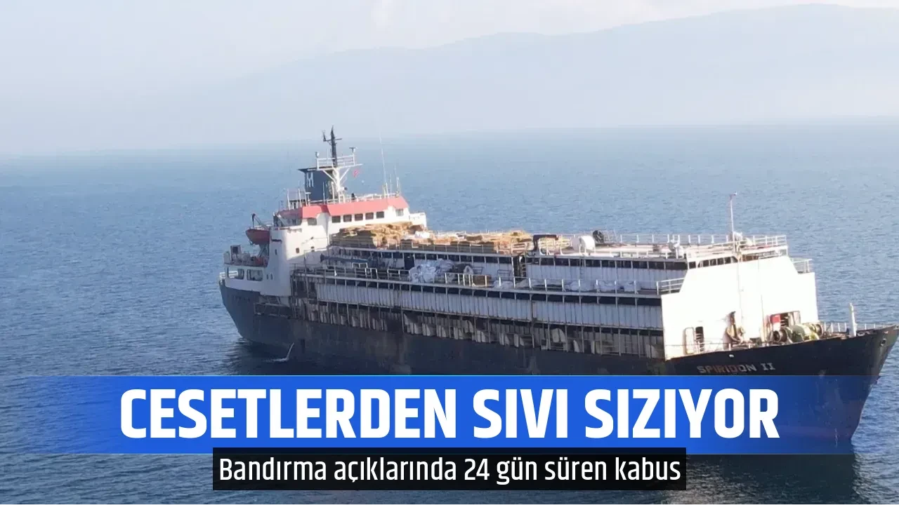 CESETLERDEN SIVI SIZIYOR