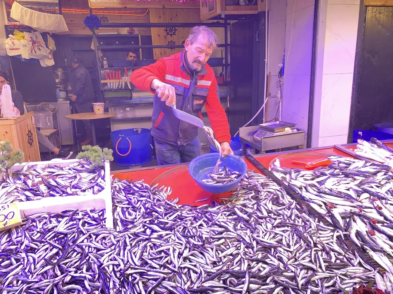 Denizlerde bollaşan hamsi tezgahlarda 100 TL’ye yer buldu