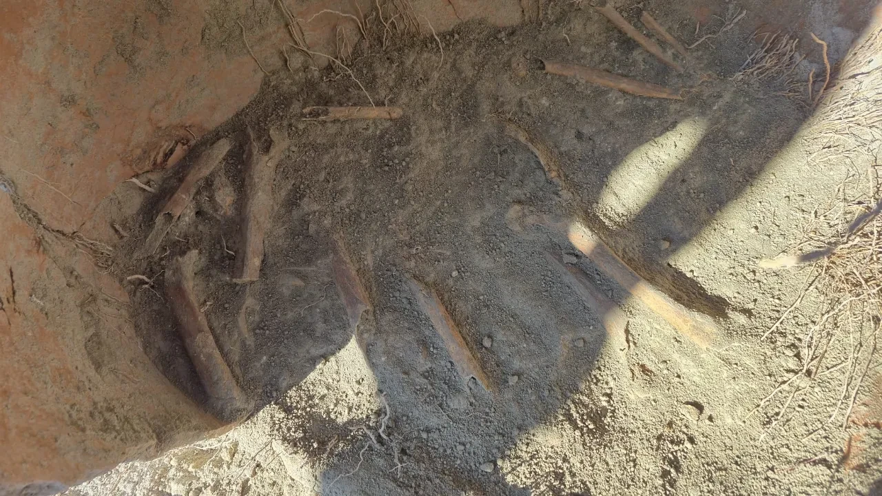 Denizli'de 4 bin 500 yıllık sır küpü gün yüzüne çıktı: Kemik parçaları harekete geçirdi! 