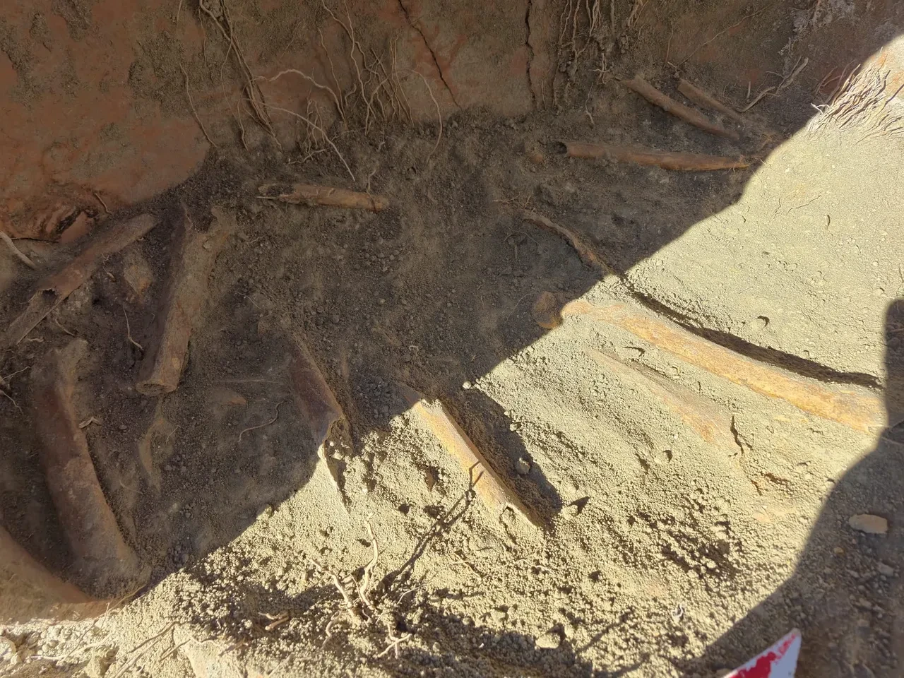 Denizli'de 4 bin 500 yıllık sır küpü gün yüzüne çıktı: Kemik parçaları harekete geçirdi!