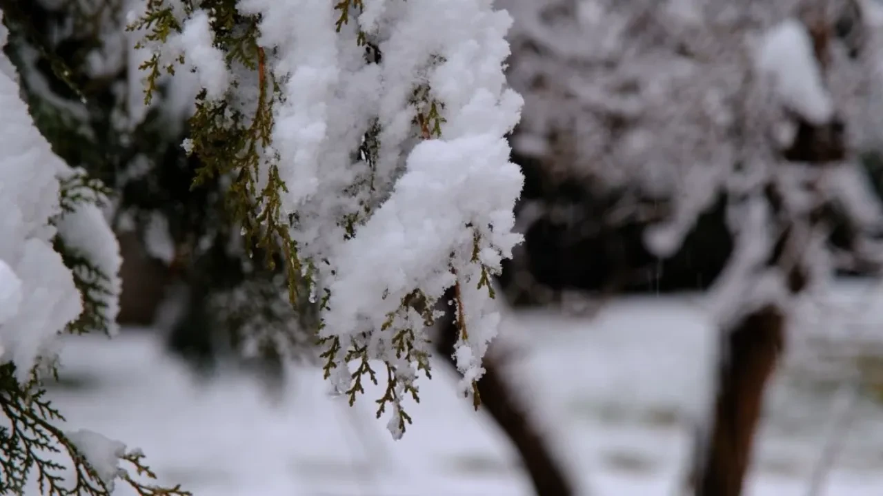 Yozgat’ta bu mevsimin ilk karı yağdı, ortaya masalsı görüntüler çıktı!