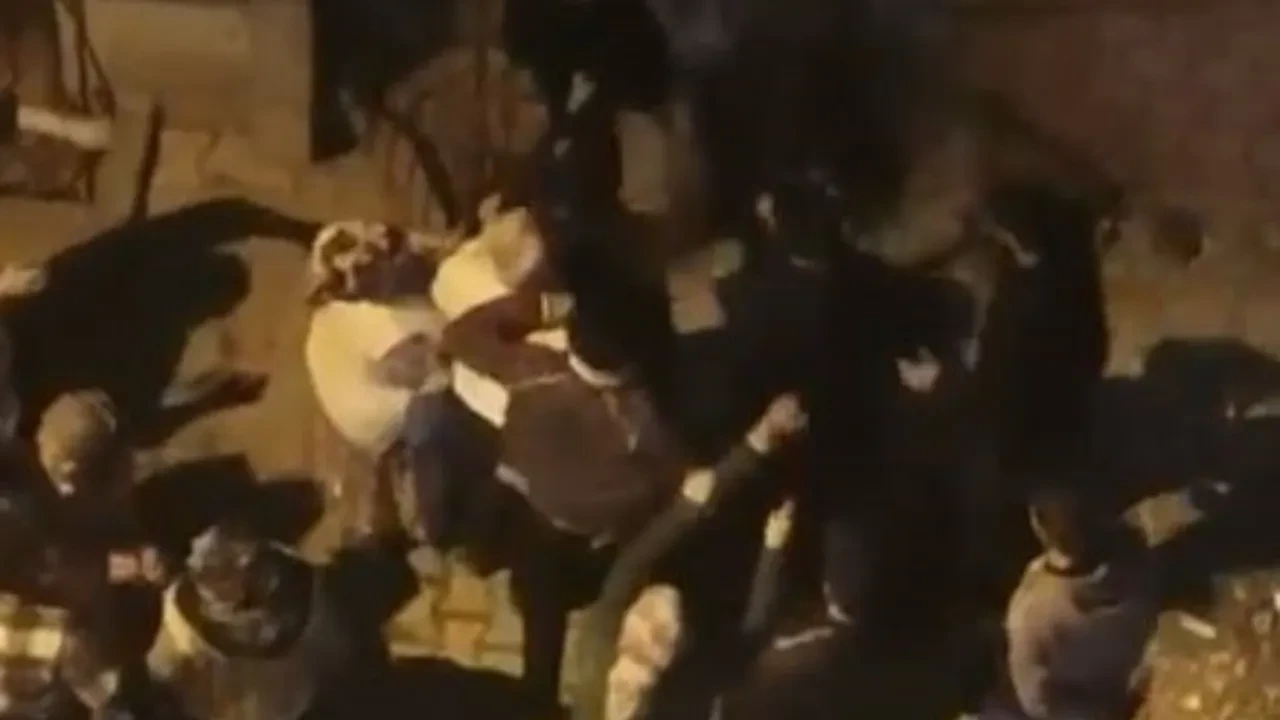 Arnavutköy’de 'ses' tartışması sopalı kavgaya döndü!