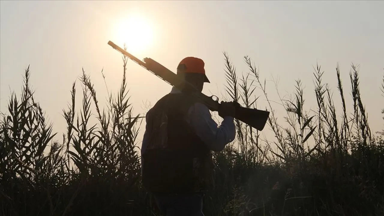 Ava giderken avlandı! Yaşlı adam domuz avında hastanelik oldu