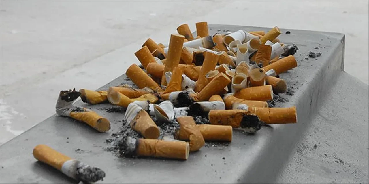 Berlin’de yere sigara izmariti atan yandı! Cezası 25 kat arttı!