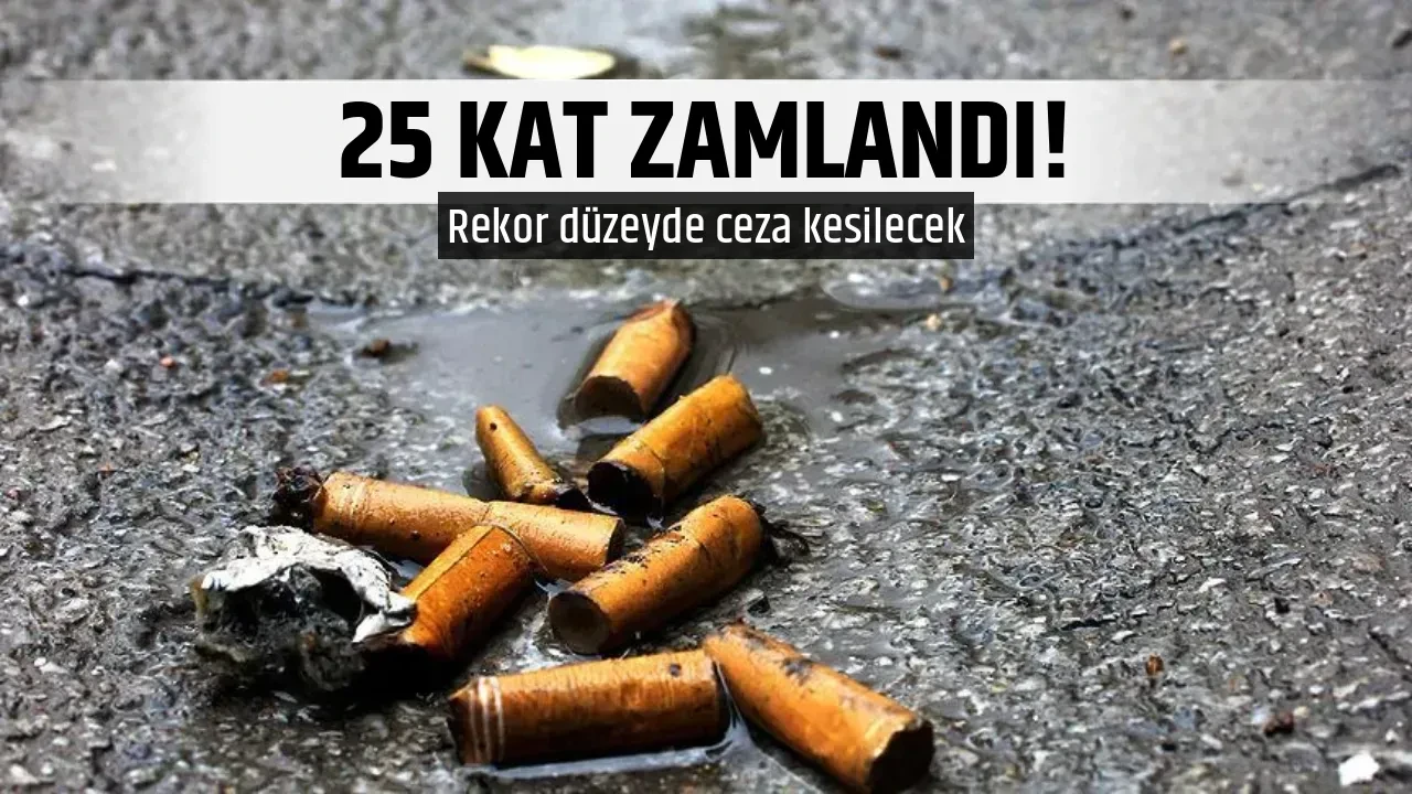 25 KAT ZAMLANDI!