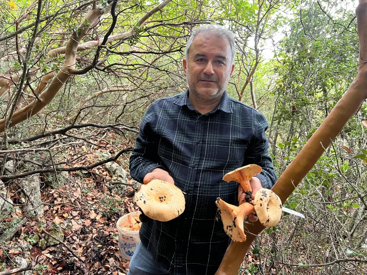 Bölgenin geçim kaynağı oldu! Kendiliğinden yetişiyor, kilosu 300-400 TL’ye satılıyor