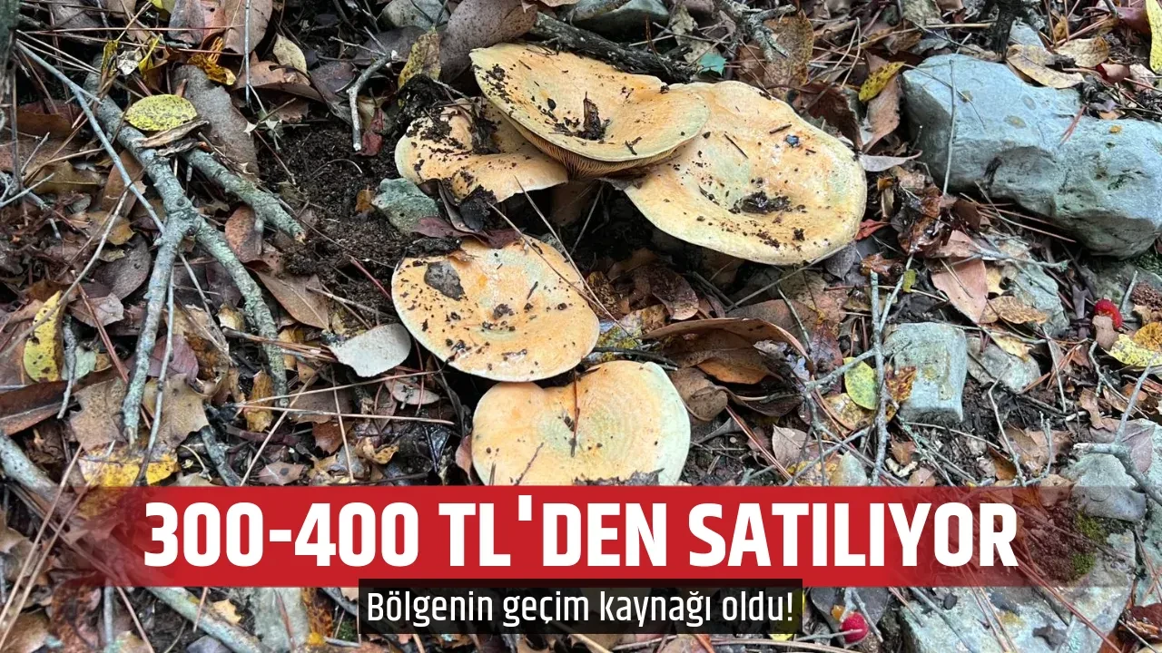 300-400 TL'DEN SATILIYOR