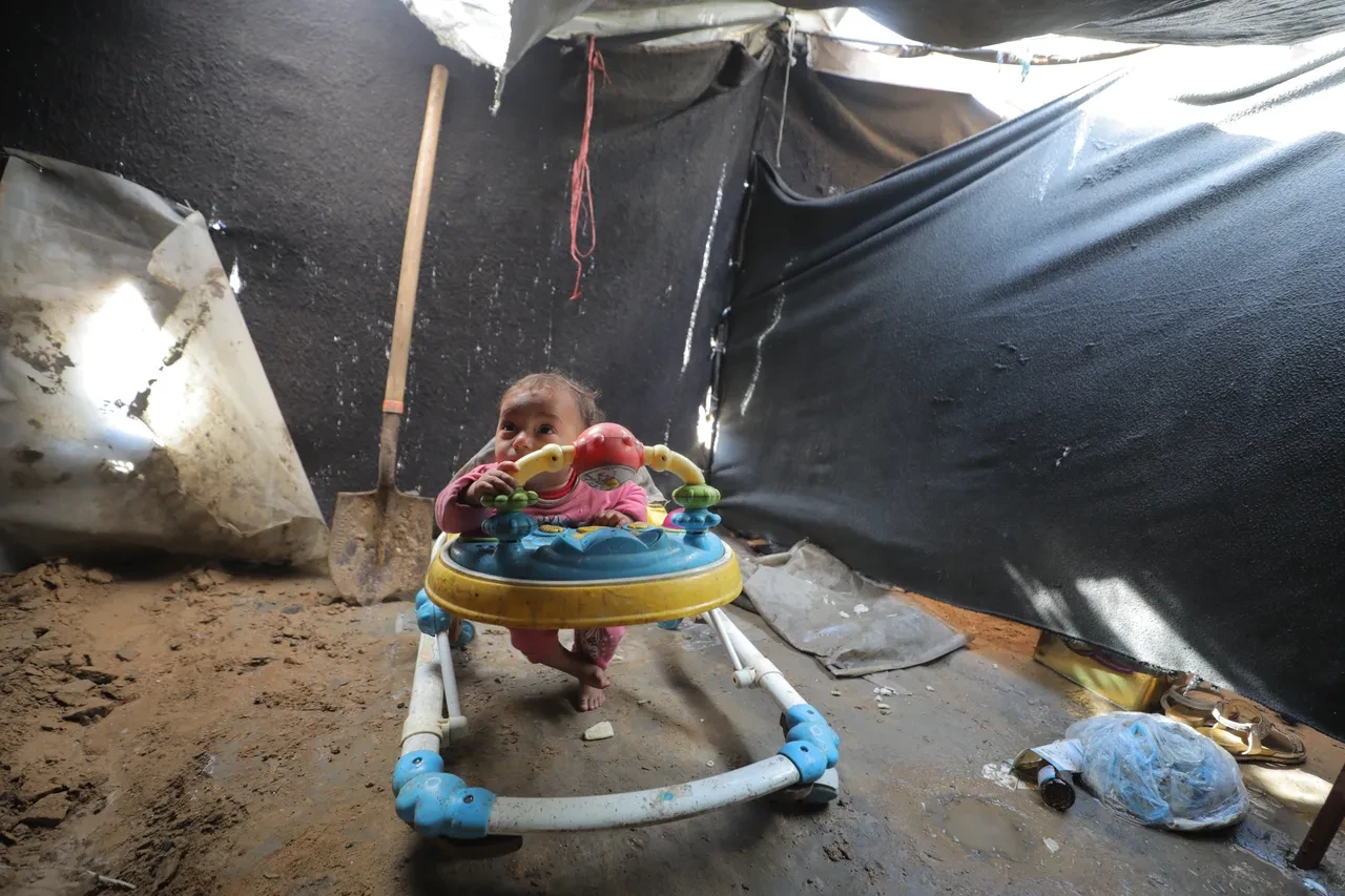 Gazze'de hayatlar sular altında: Kış şartları Filistinlilerin çadırlarını çamur göletlerine çevirdi