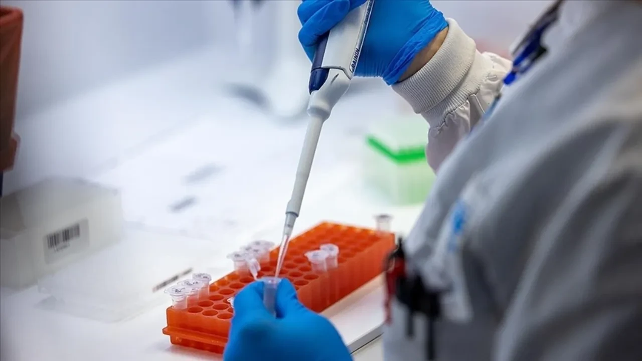 İlk Marburg virüsü vakası tespit edildi: Yüzde 88 kayıp riski var!