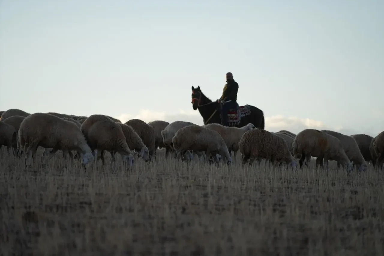 Medya sektöründen çiftçiliğe geçiş yaptı! İstanbul'dan kaçınca huzuru buldu