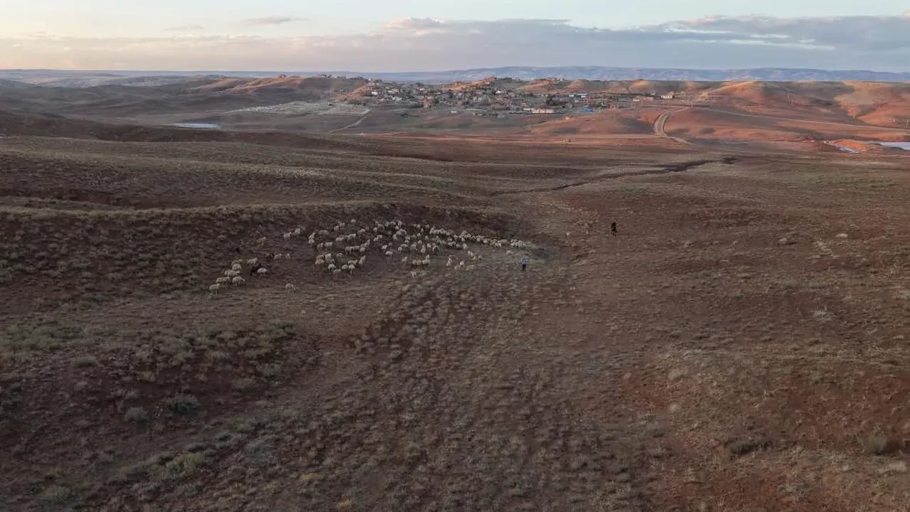 Medya sektöründen çiftçiliğe geçiş yaptı! İstanbul'dan kaçınca huzuru buldu