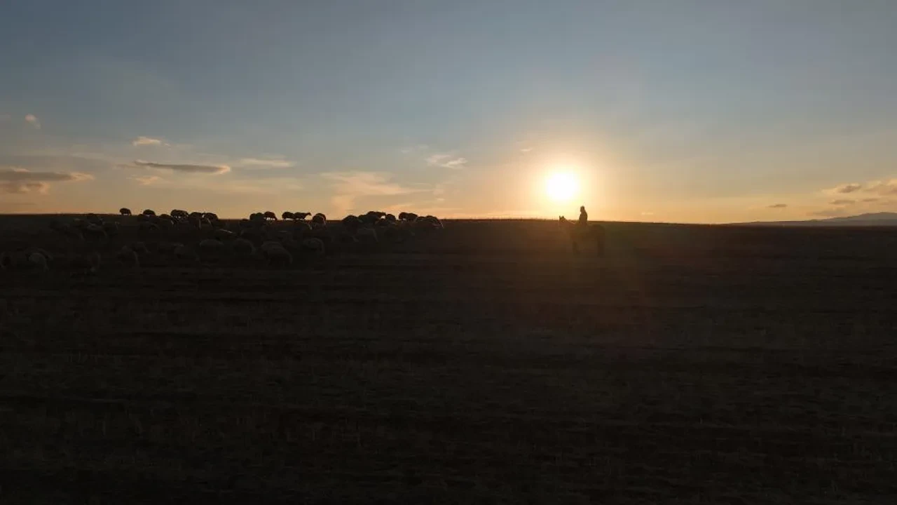 Medya sektöründen çiftçiliğe geçiş yaptı! İstanbul'dan kaçınca huzuru buldu