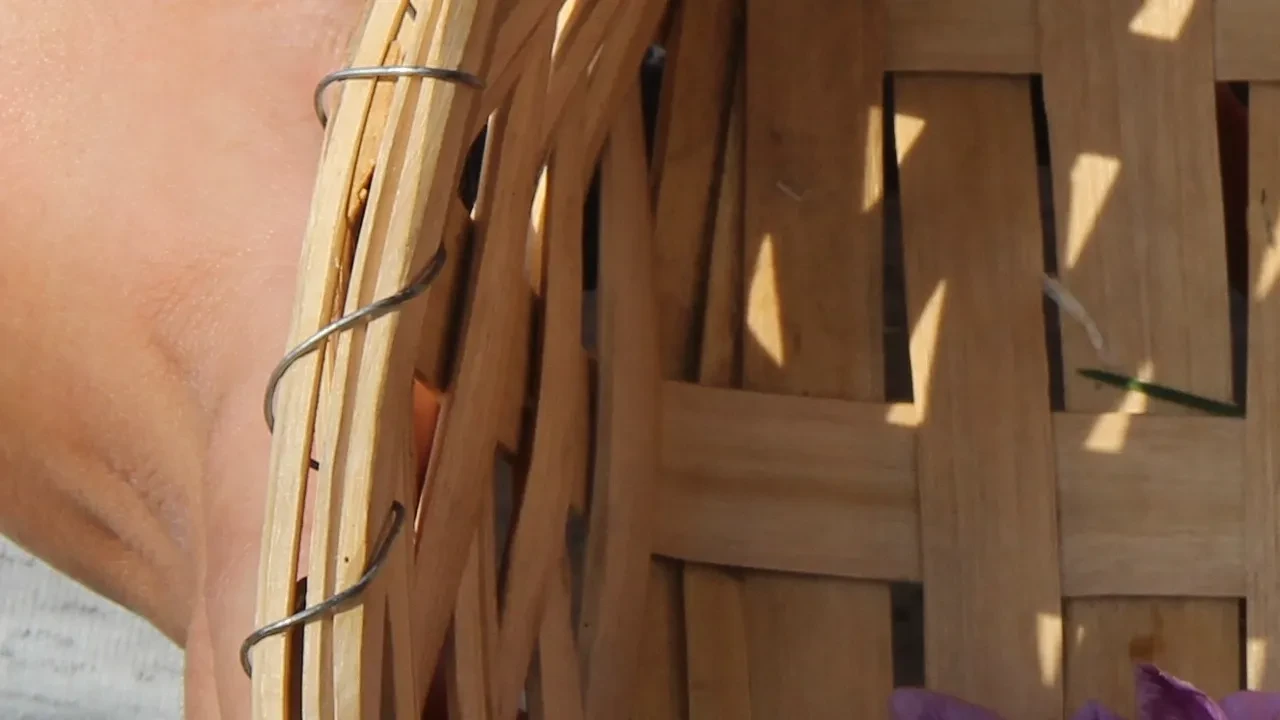 Denemek için ekti, dünyanın en pahalı baharatını yetiştirdi! Gramını 500 TL'ye satıyor