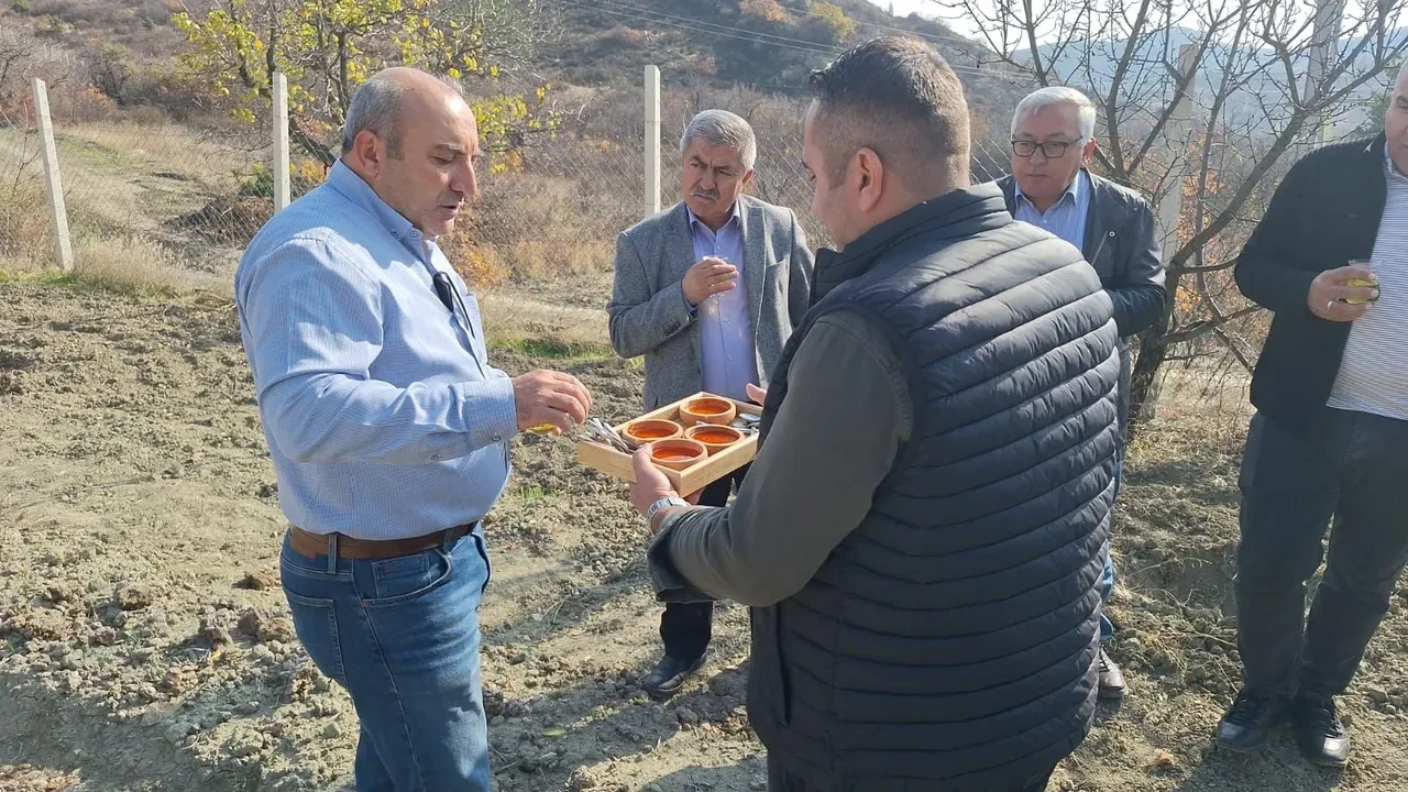 Denemek için ekti, dünyanın en pahalı baharatını yetiştirdi! Gramını 500 TL'ye satıyor