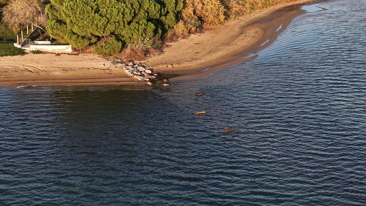 Deniz çekildi, antik liman gün yüzüne çıktı! Tam 3 bin 500 yıllık