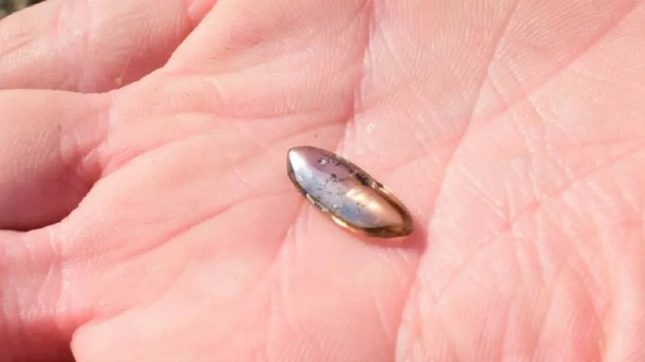 Elmas bulanın cebine kalıyor! Halka açık arama alanında 2,79 karatlık inanılmaz hazine